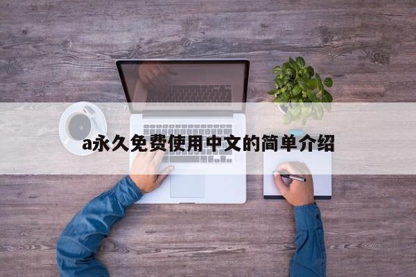 a永久免费使用中文的简单介绍