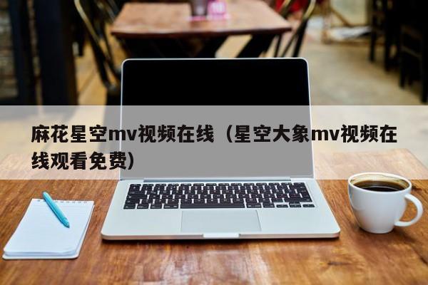 麻花星空mv视频在线（星空大象mv视频在线观看免费）